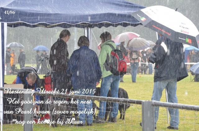 0410 Nestendag Utrecht 21 juni 2015 in de stromende regen DSC_6956.jpg